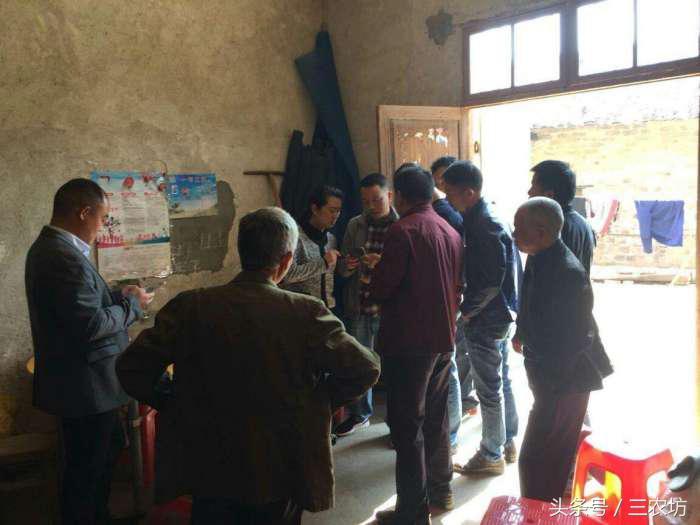 最新农民三证，农村发展的未来重塑之路