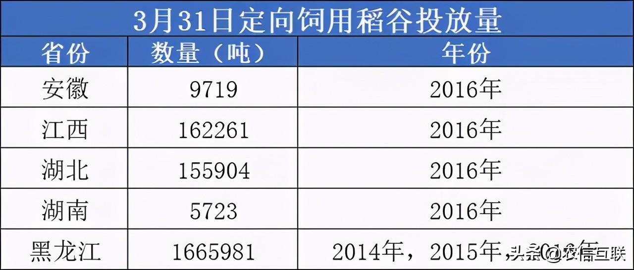 全球粮食形势最新分析，屯粮动态与展望