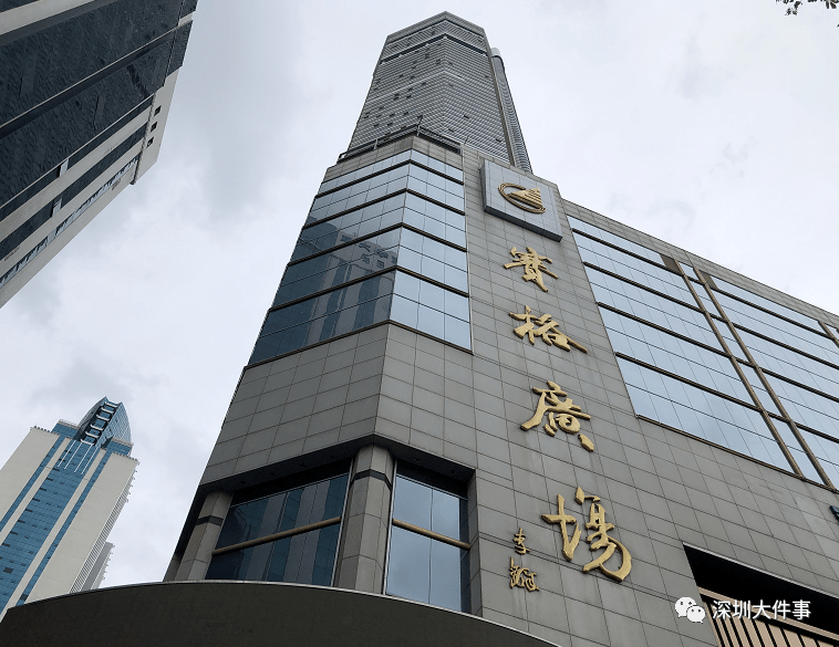 赛格最新动态，科技巨头崭露头角引领未来