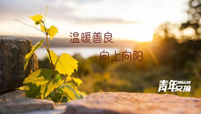 情感故事最新篇章，爱的旅程波折与希望之路