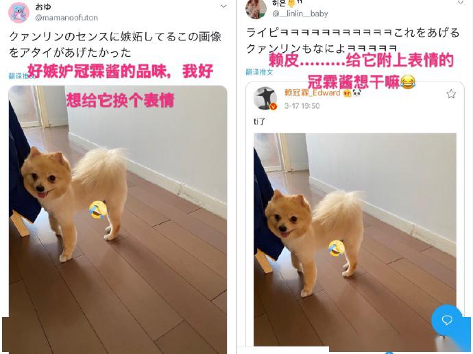 口酱最新版，深度体验与独特魅力揭秘