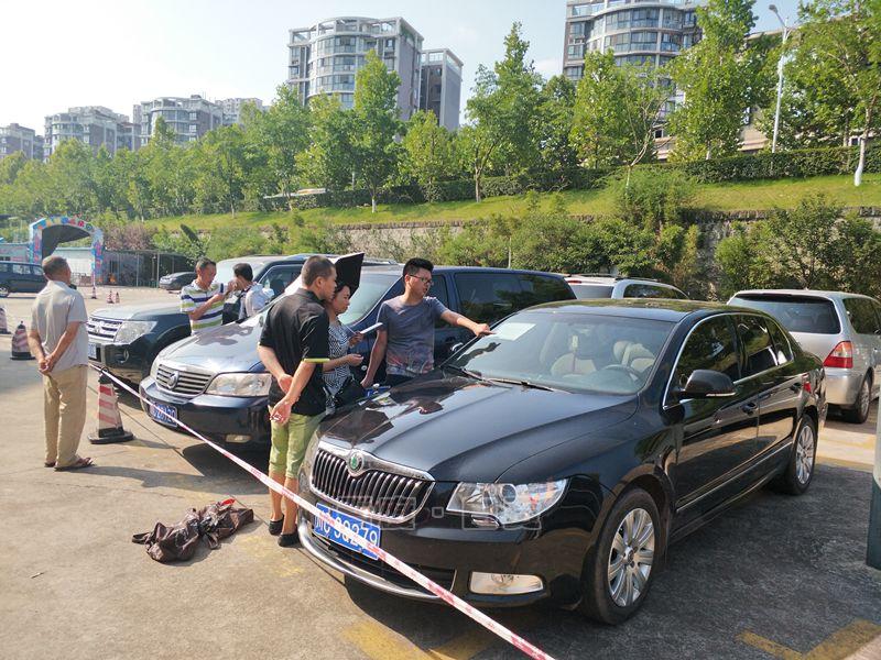 网络现象最新深度解析报告
