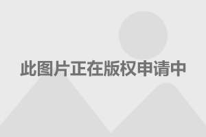 毛晓彤机场最新亮相，时尚魅力与个性的完美融合风采展示