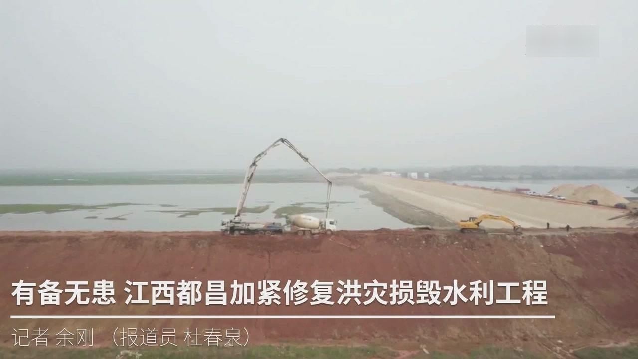 都昌洪水最新动态，灾害应对与影响分析
