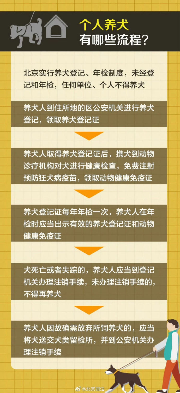 北京最新禁养犬政策背后的考量与探讨
