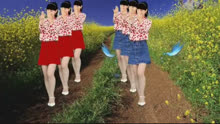 舞动人生的新篇章，最新恋上广场舞