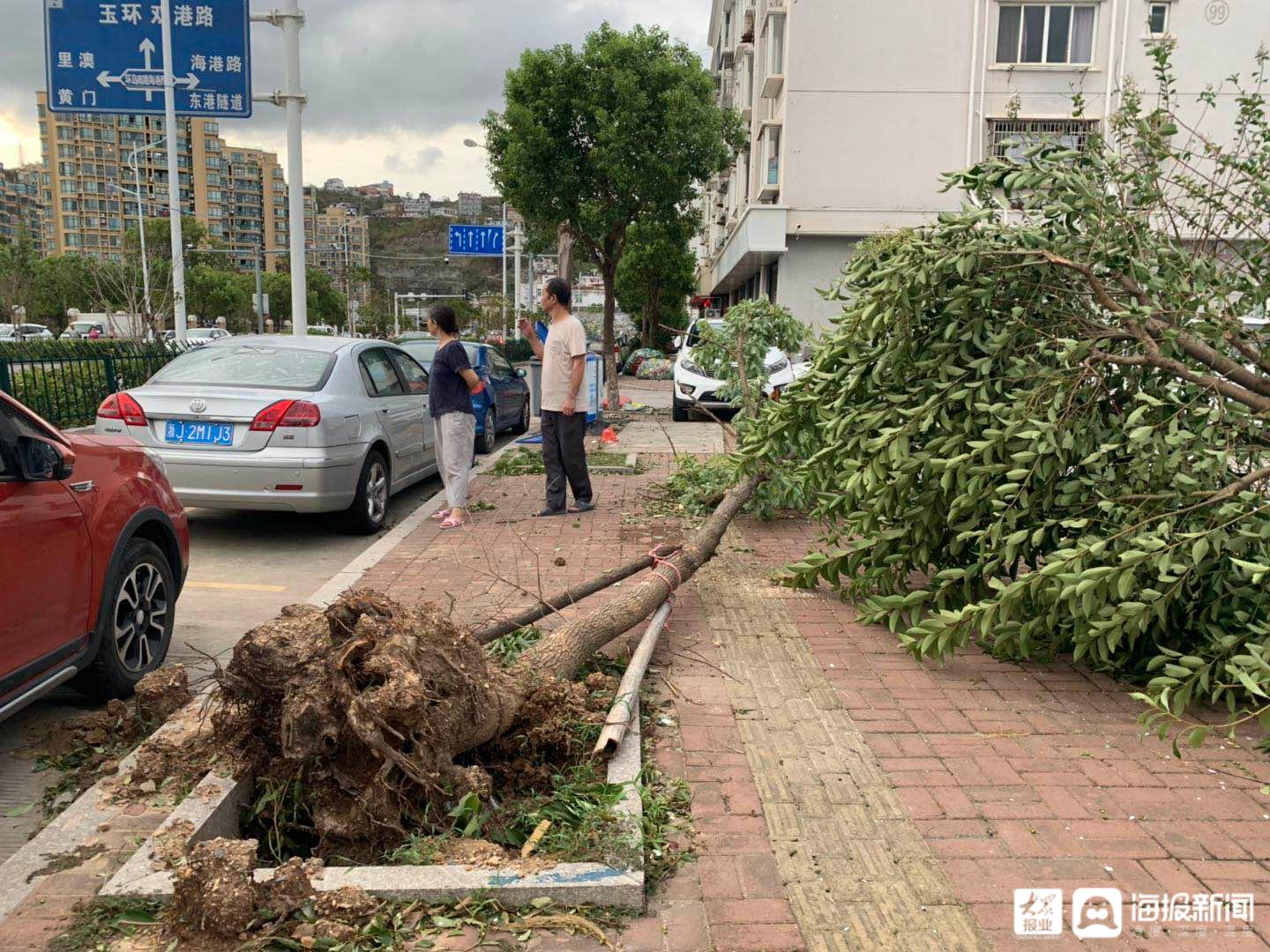 浙江台州台风最新消息及全方位应对措施，保障安全无忧