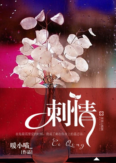 刺情最新章节深度解析，情感纠葛与主题探讨