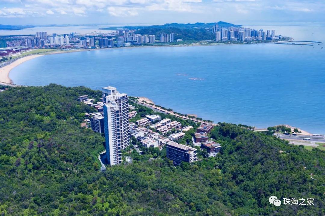 珠海楼盘价格动态更新，市场走势及影响因素深度解析