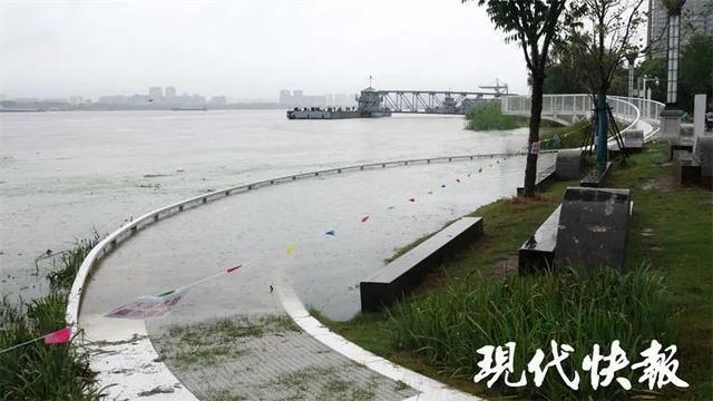 南京水情最新动态，城市水位监测与应对策略