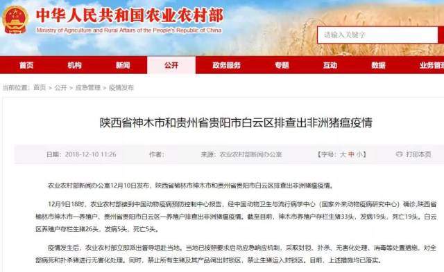 全球疫情最新动态及应对策略通报信息