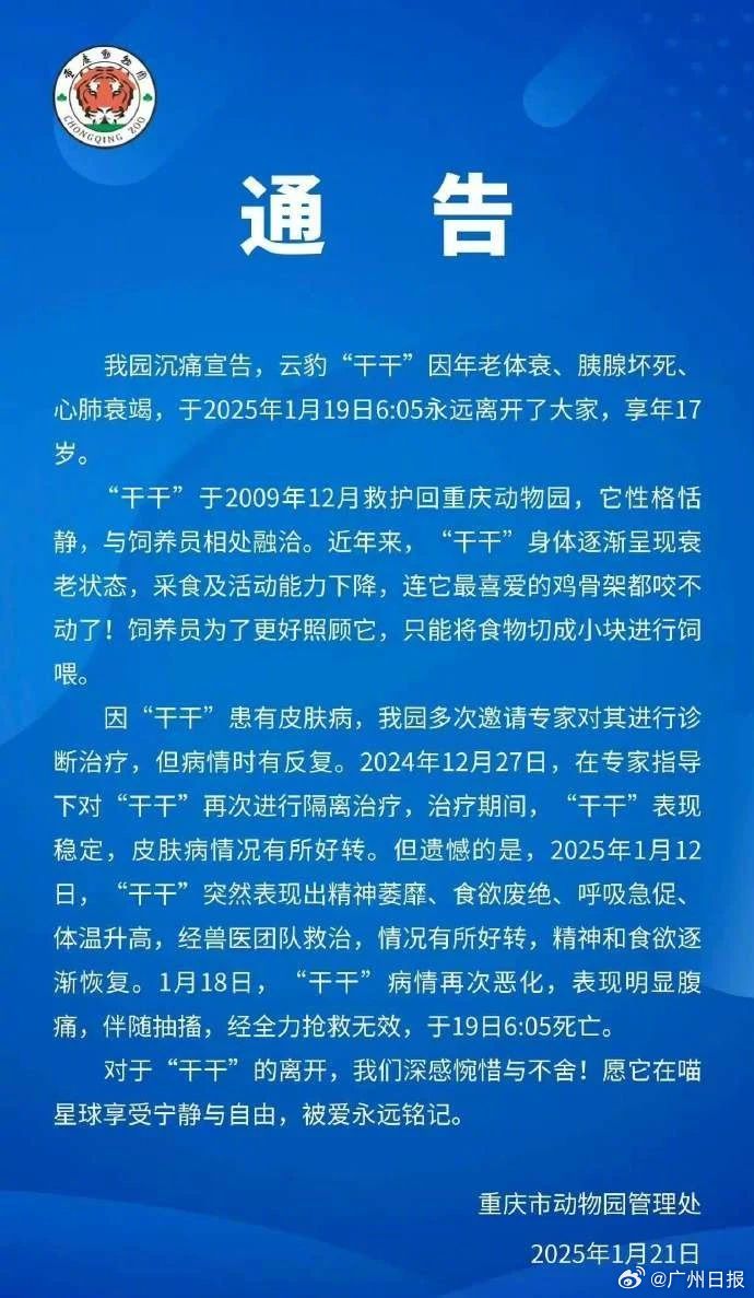 重庆市最新通告揭秘，城市发展的战略布局与动态推进