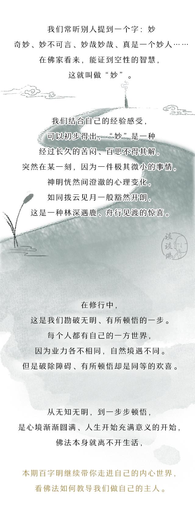 百字明最新探索，智慧光芒照亮新时代