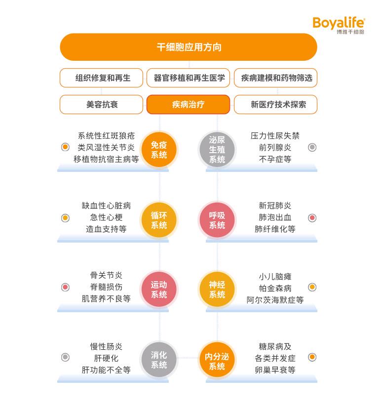 干细胞重塑生命，最新治疗进展揭秘