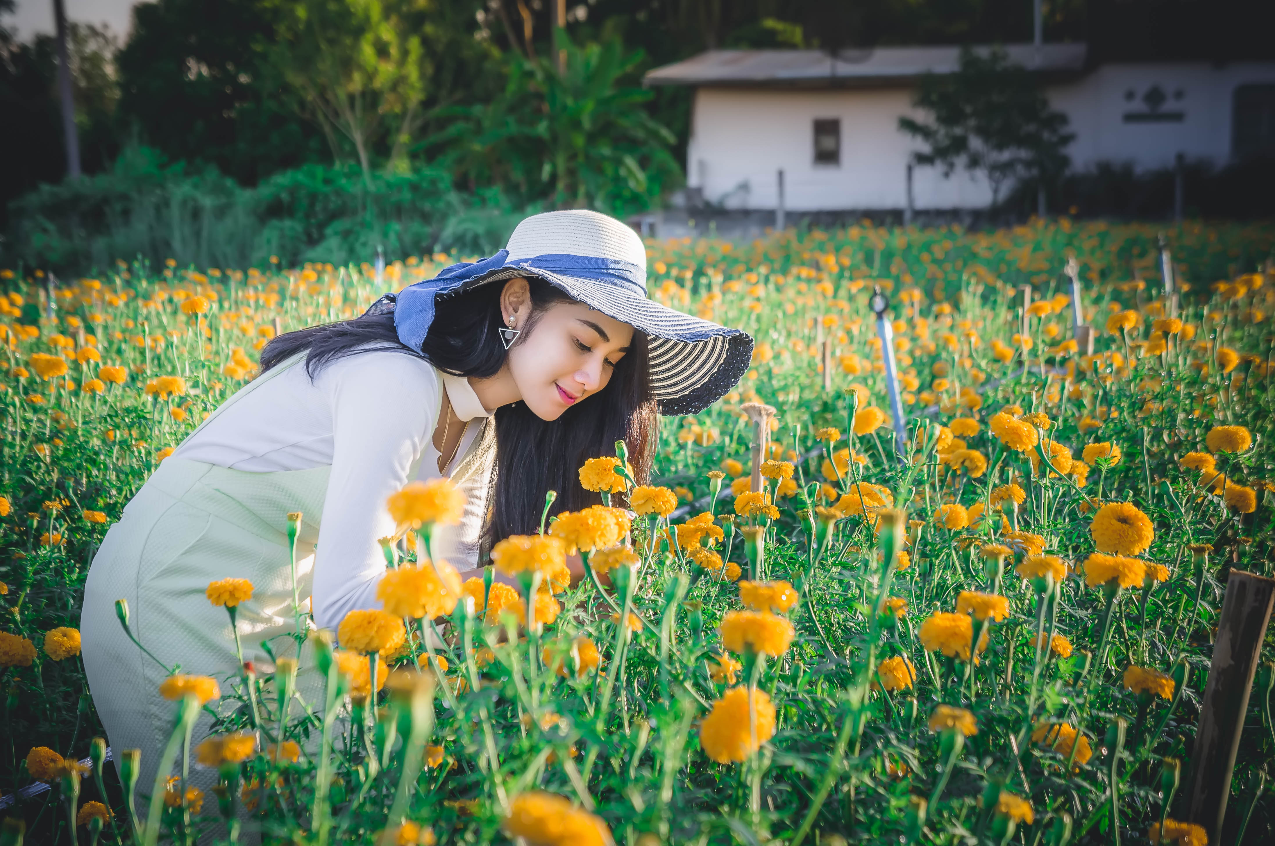 探索时光之美，感受生活魅力，最新美好时光体验