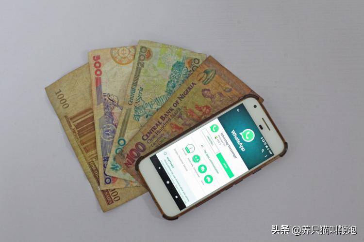 嘉美包装创新力量与卓越品质展示视频最新发布