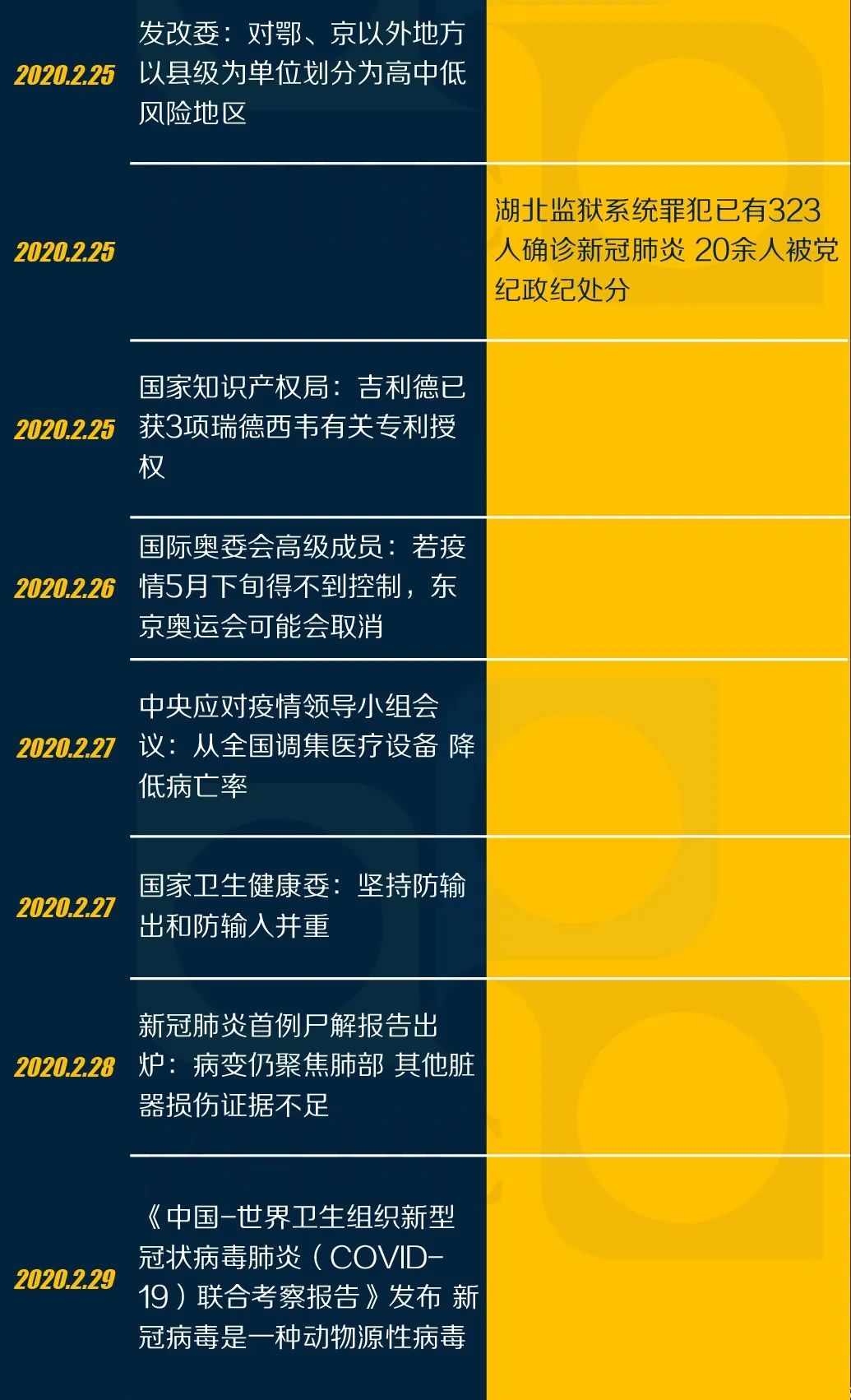 疫情与国内时事洞察，全面审视与前瞻