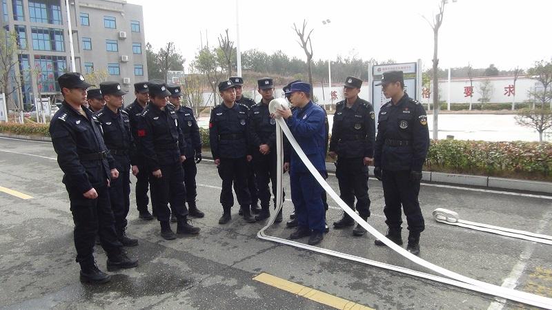 麻城火灾最新事件全面解析