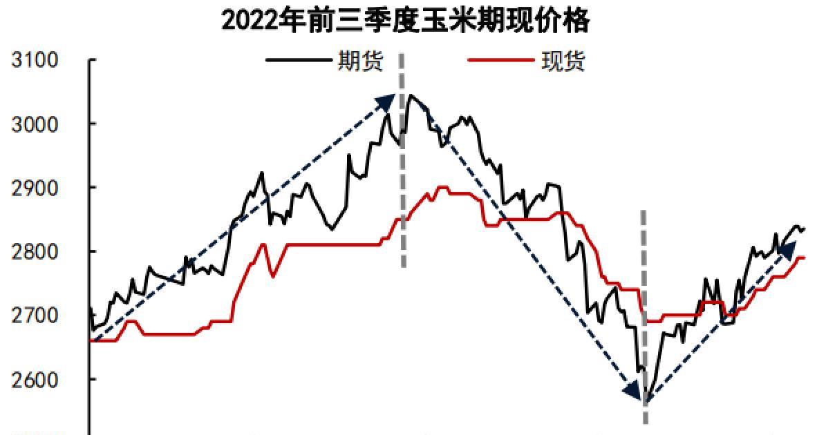 2025年玉米最新价格分析与展望，市场趋势及预测