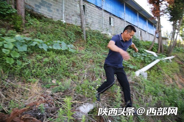 探索自然的新视角，野猪视频最新地址揭秘，关注野生动物之旅