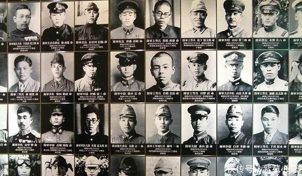 二战新观点揭示，历史真相的重审与探索