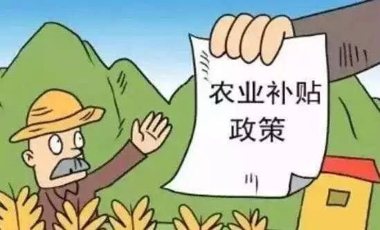最新农村补贴助力乡村振兴与农民生活改善