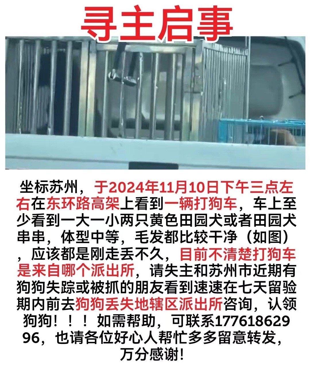 狗市繁荣与变迁的最新观察