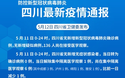 全球肺炎疫情最新通报，抗击疫情的新进展与挑战