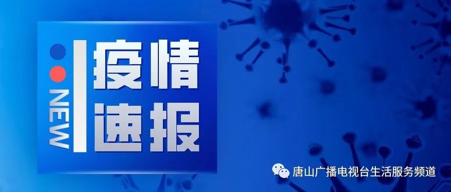 河北病毒疫情挑战与应对策略