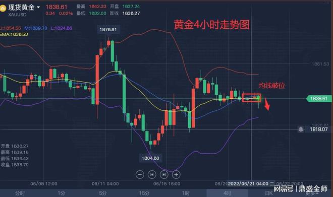 黄金市场最新走势深度解析，洞悉市场动态与把握机遇的视频指南