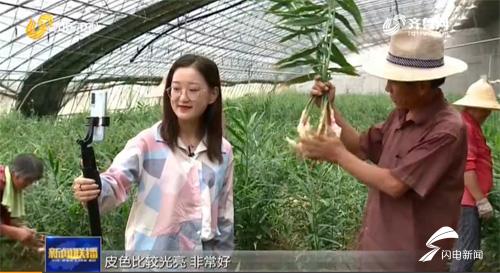 南村最新新闻报道
