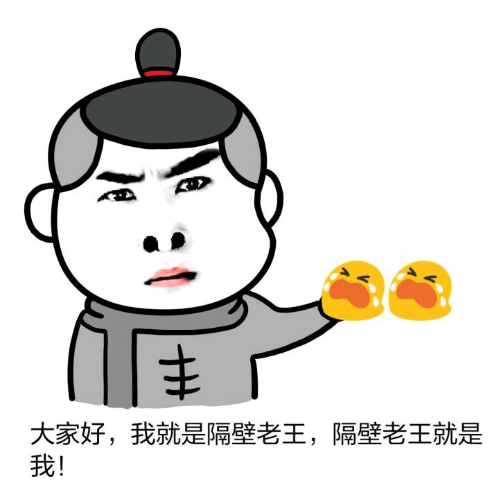 挺老王最新版深度解析与体验分享报告