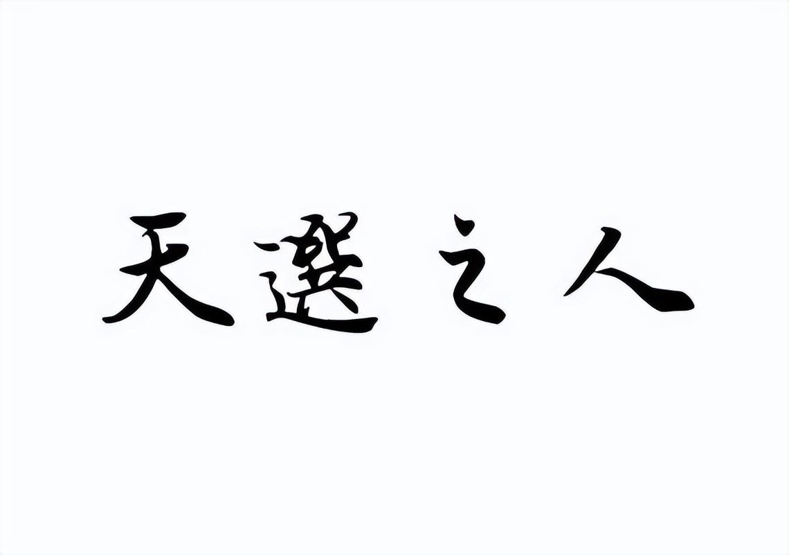 最新款天选科技产品深度探索与解析