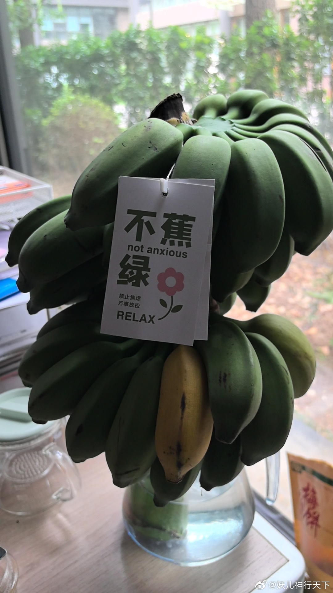 最新大香蕉久草的独特魅力及其深远影响