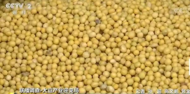 中国最新大豆进口趋势分析
