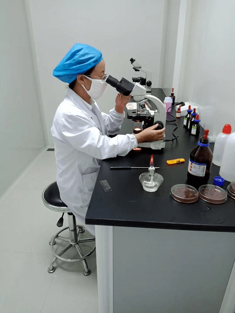 微生物检测最新进展及其应用领域概述