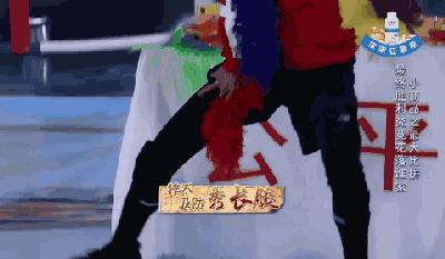 新纪元探索突破，最新综艺节目引领潮流