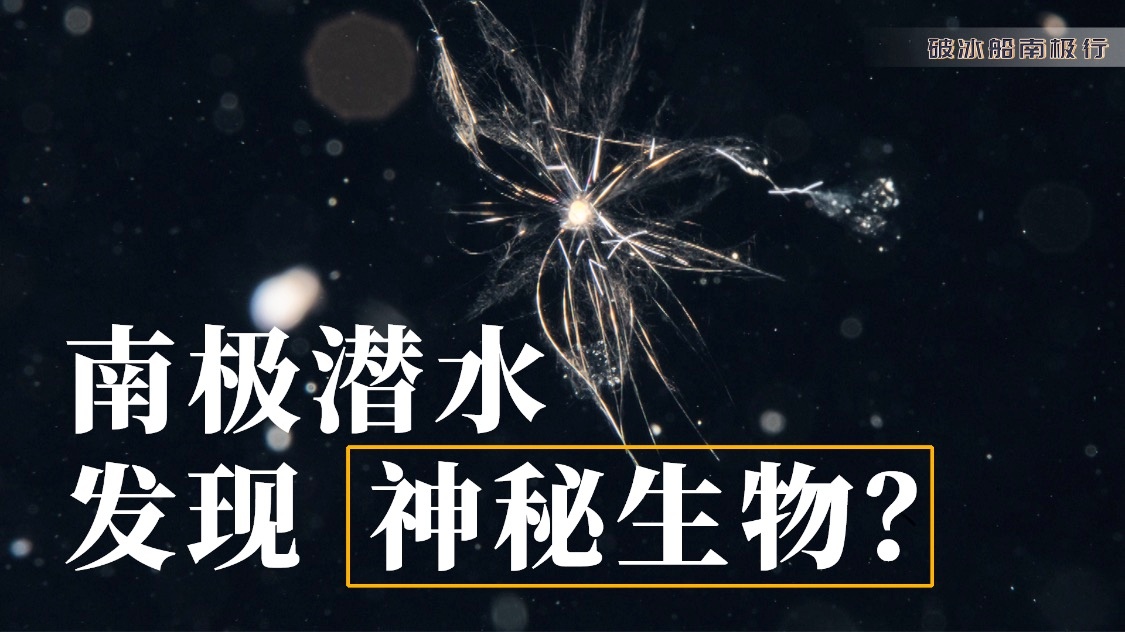 2025年4月10日