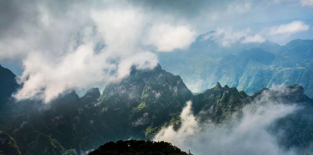 金宇