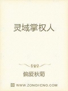 掌权人最新章节，权力与责任的深度交织之路