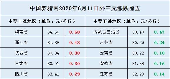 今日猪价更新，市场走势及影响因素深度解析