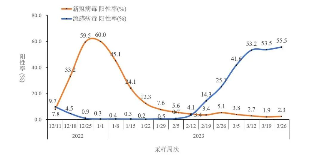 全球疫情反弹挑战与应对策略