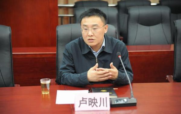 卢映川最新简历概览，个人背景与经历揭秘