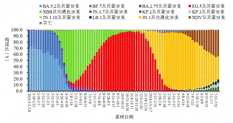 全球新冠最新趋势，挑战与希望的并存之路