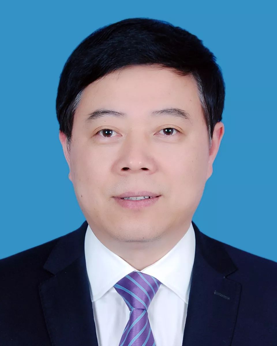 蔡程程新职务揭秘，探索未来之路的发展蓝图