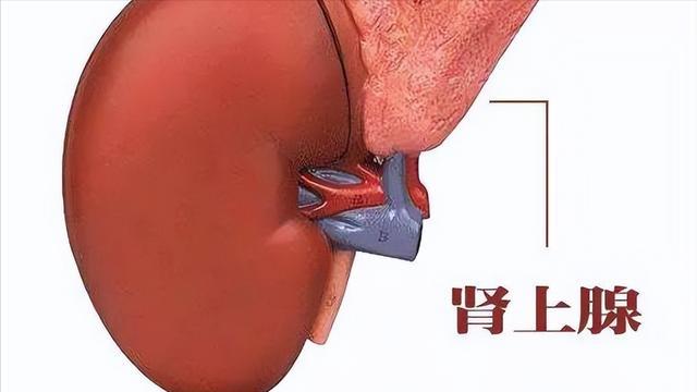 病温最新动态，全面解析及应对策略