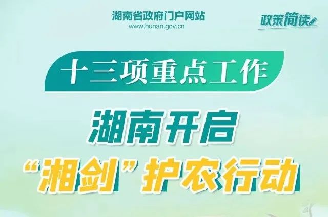 晓姗