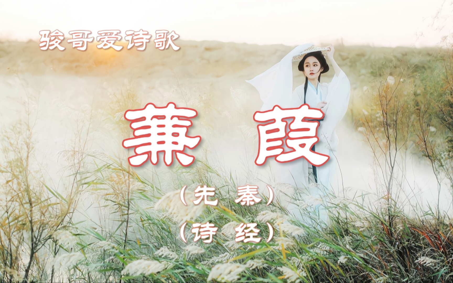 蒹葭最新版，诗意与现代演绎的交融之美