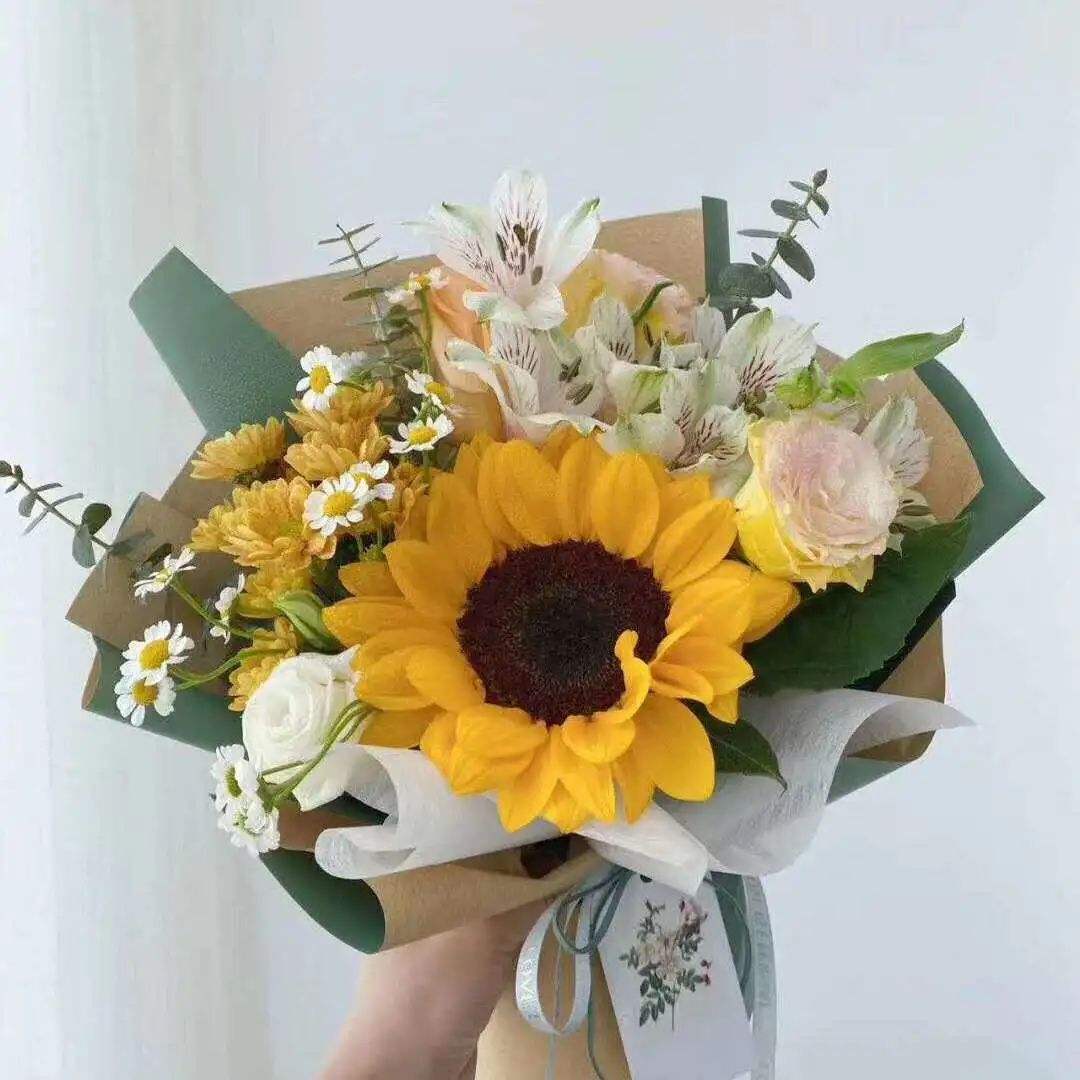 最新生日花，探寻花语世界中的新生奥秘揭秘