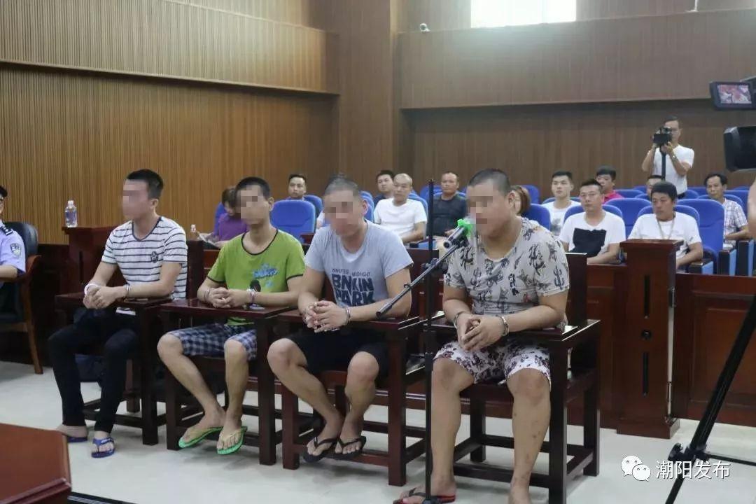 汕头潮阳最新事件揭示地方发展动态及其影响